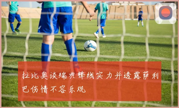 拉比奥谈瑞典锋线实力并透露萨利巴伤情不容乐观
